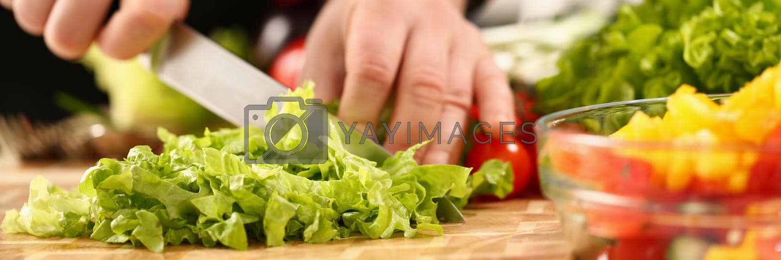 Royalty free image of A male chef cuts a green salad with a knife by kuprevich