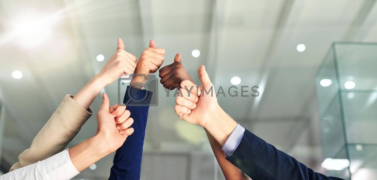 Royalty free image of Thumbs up to success. Shot of a group of hands showing thumbs up in an office. by YuriArcurs