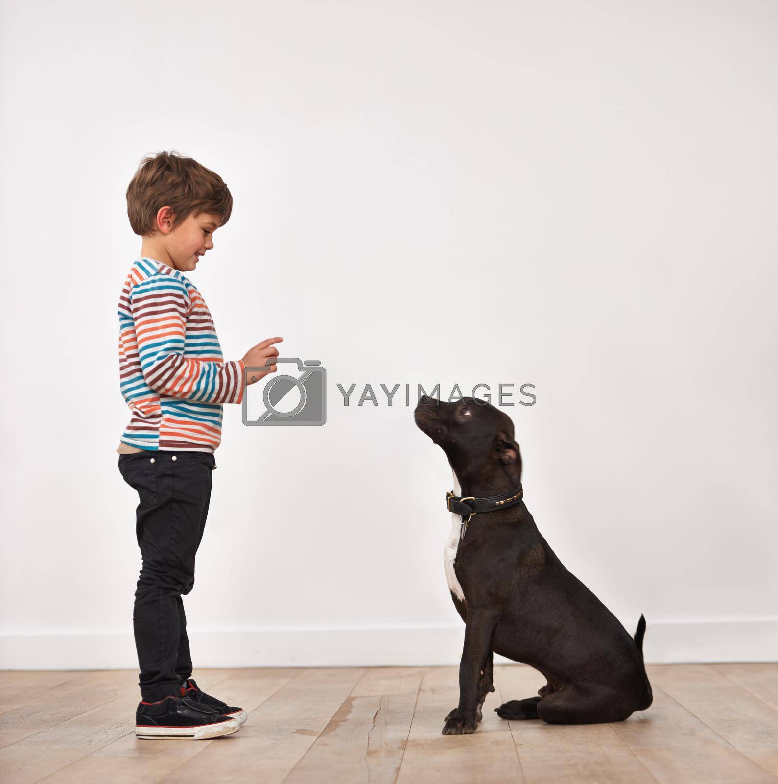 A cute little boy training his dog.
