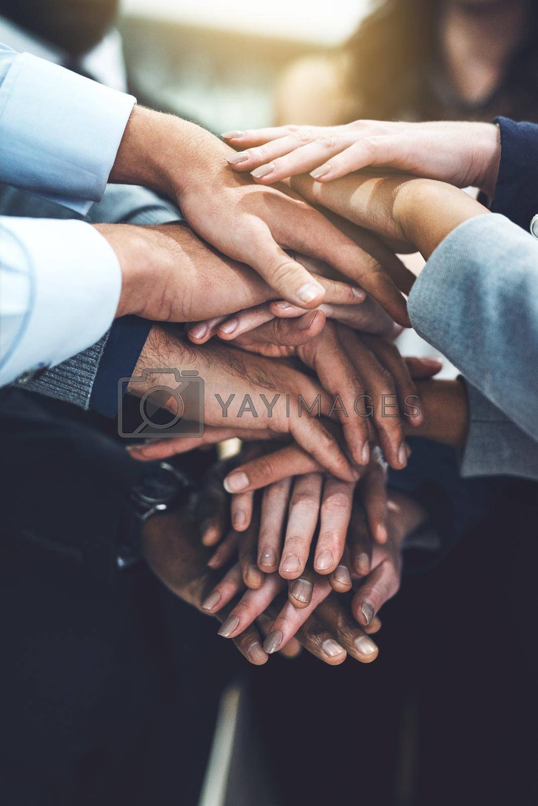 Royalty free image of We work best when we collaborate together. Closeup shot of a group of businesspeople joining their hands together in unity. by YuriArcurs