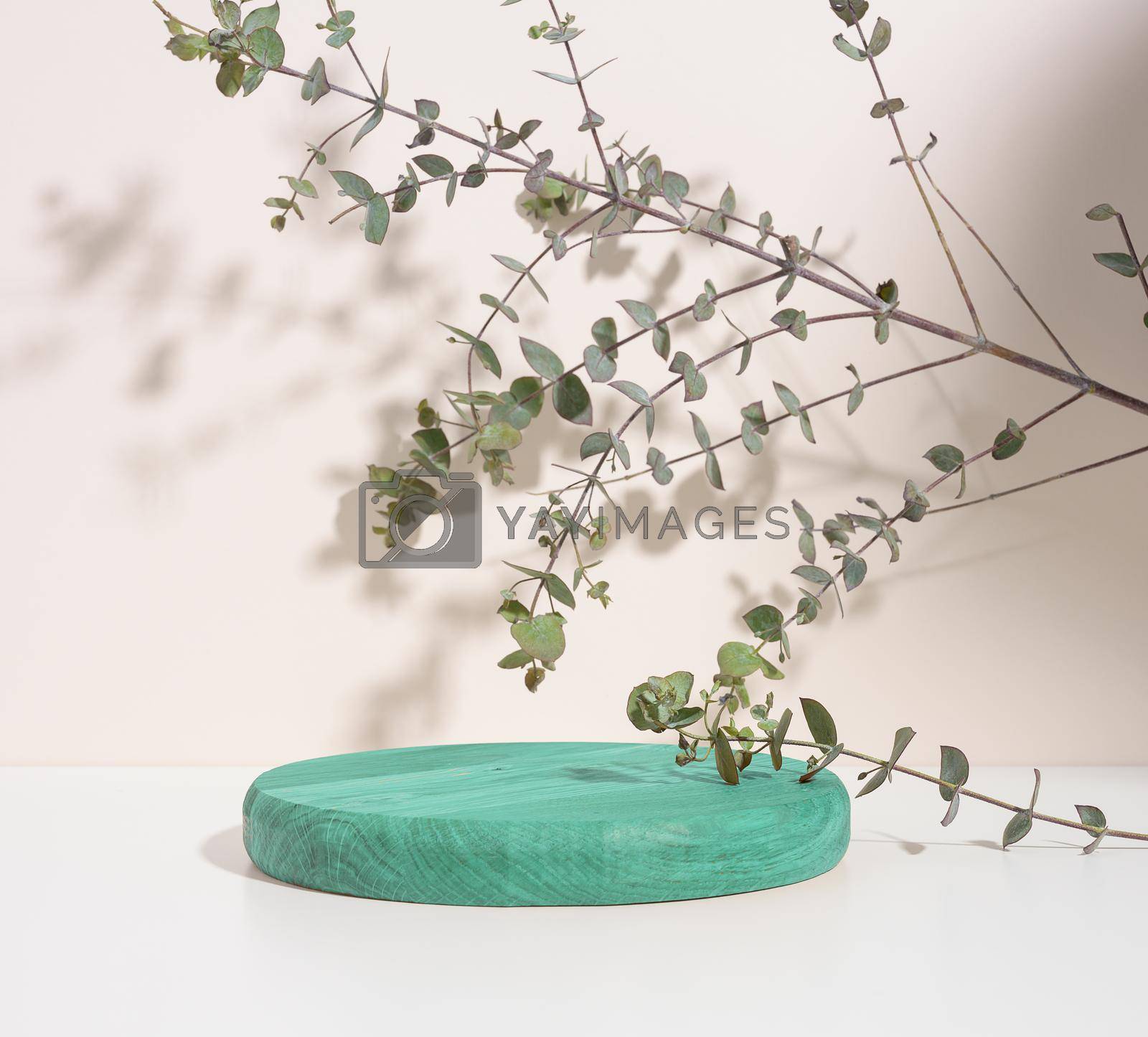Royalty free image of Round green wooden platform and eucalyptus branch on a beige background.  by ndanko