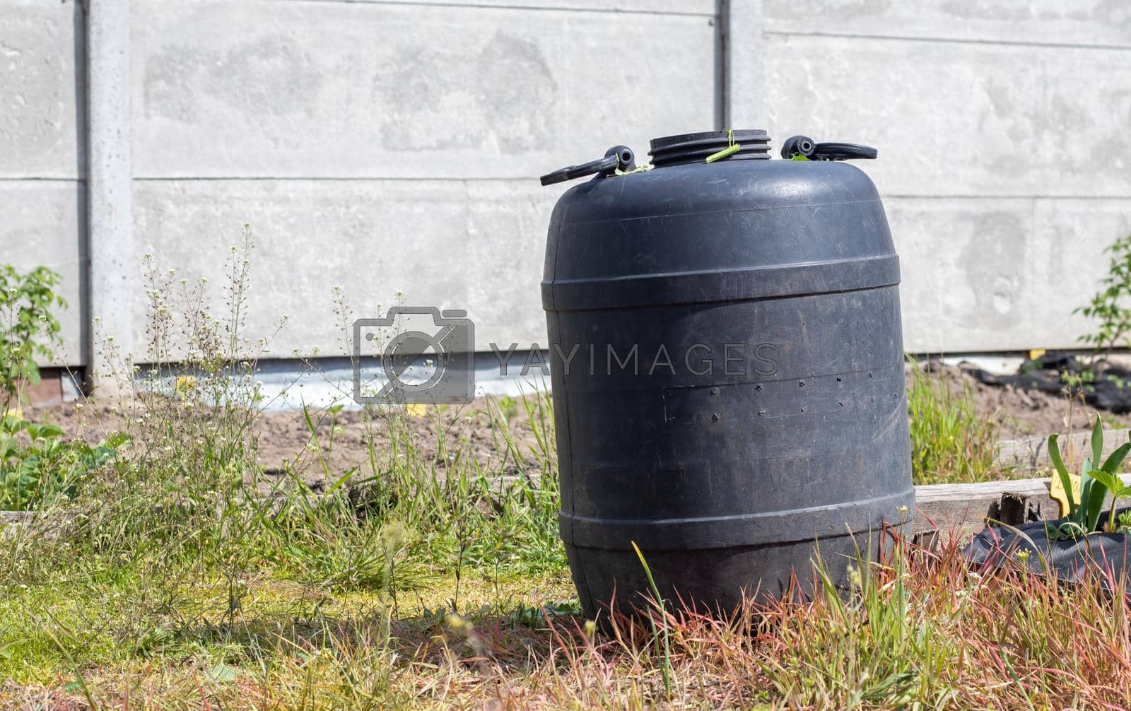 Royalty free image of Large black plastic barrel with water in the summer garden. Rainwater tank in the garden, hot summer day. Barrels for watering the garden. by Roshchyn