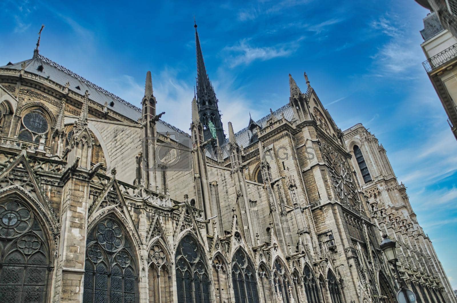 Royalty free image of Cathedral notre dame in Paris by feelmytravel