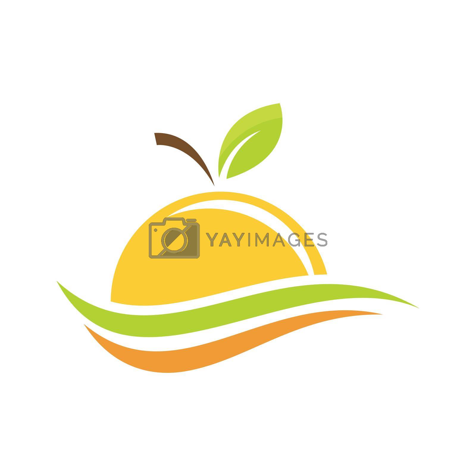 Royalty free image of Orange fruit logo by awk