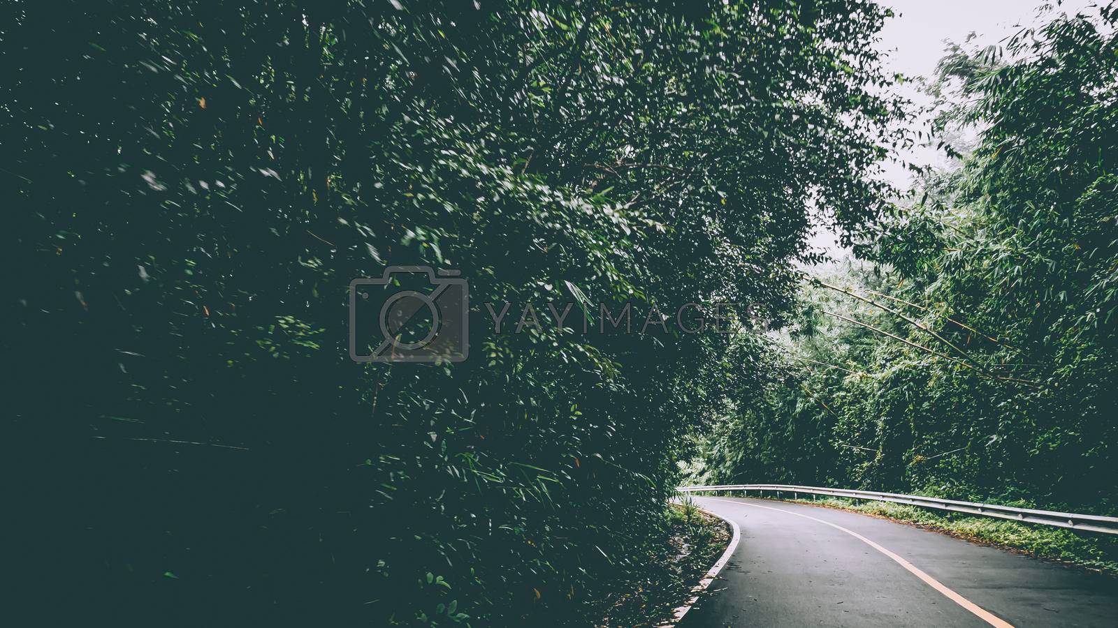 Empty Rural road with fog in the morning at countryside .Scene of road to mountain in Thailand close to Myanmar