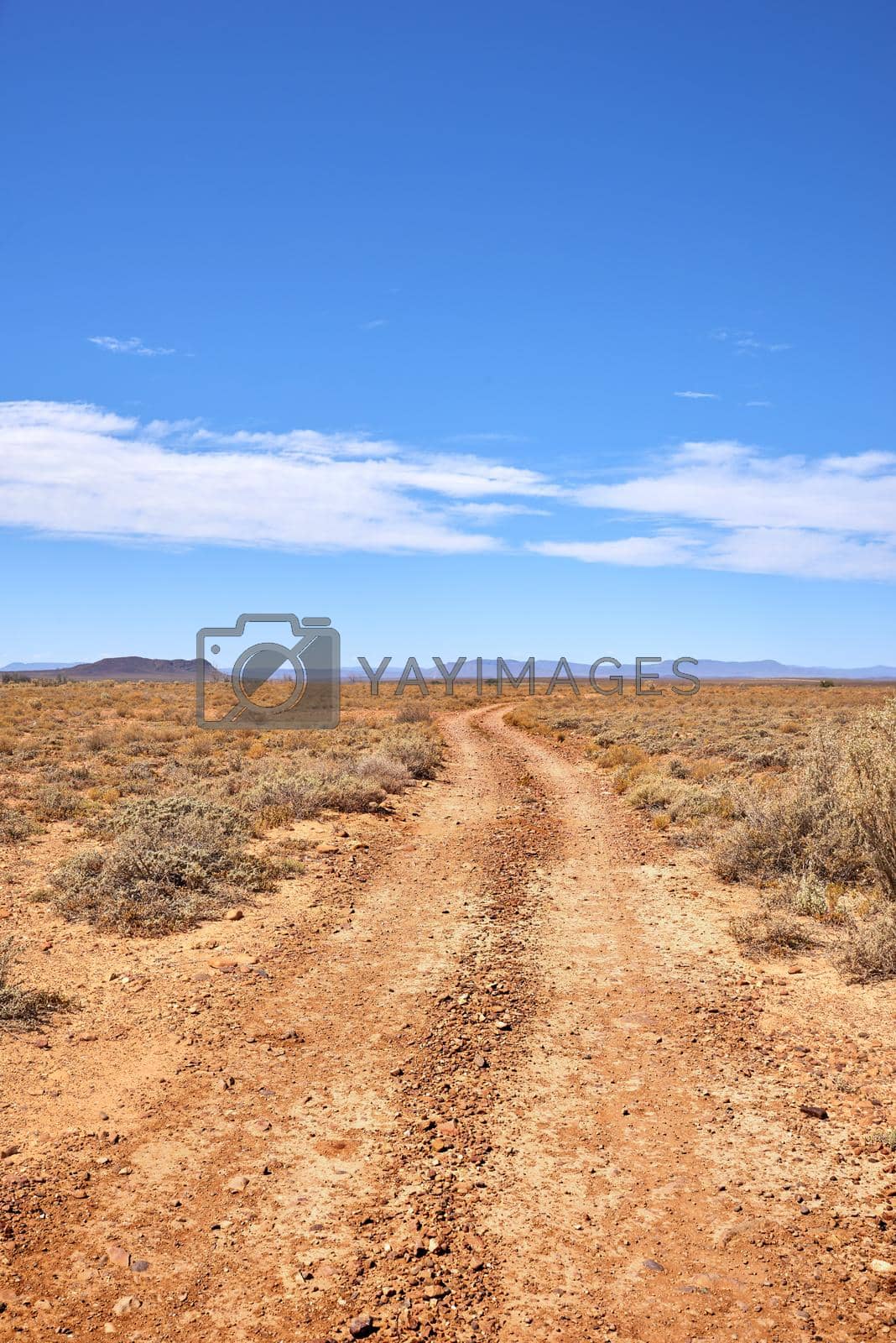 Royalty free image of Landscape of arid, barren highland in Savanna Desert in rural South Africa with copyspace. Dry, empty, vacant, remote land against blue sky. Global warming and climate change in drought environment by YuriArcurs