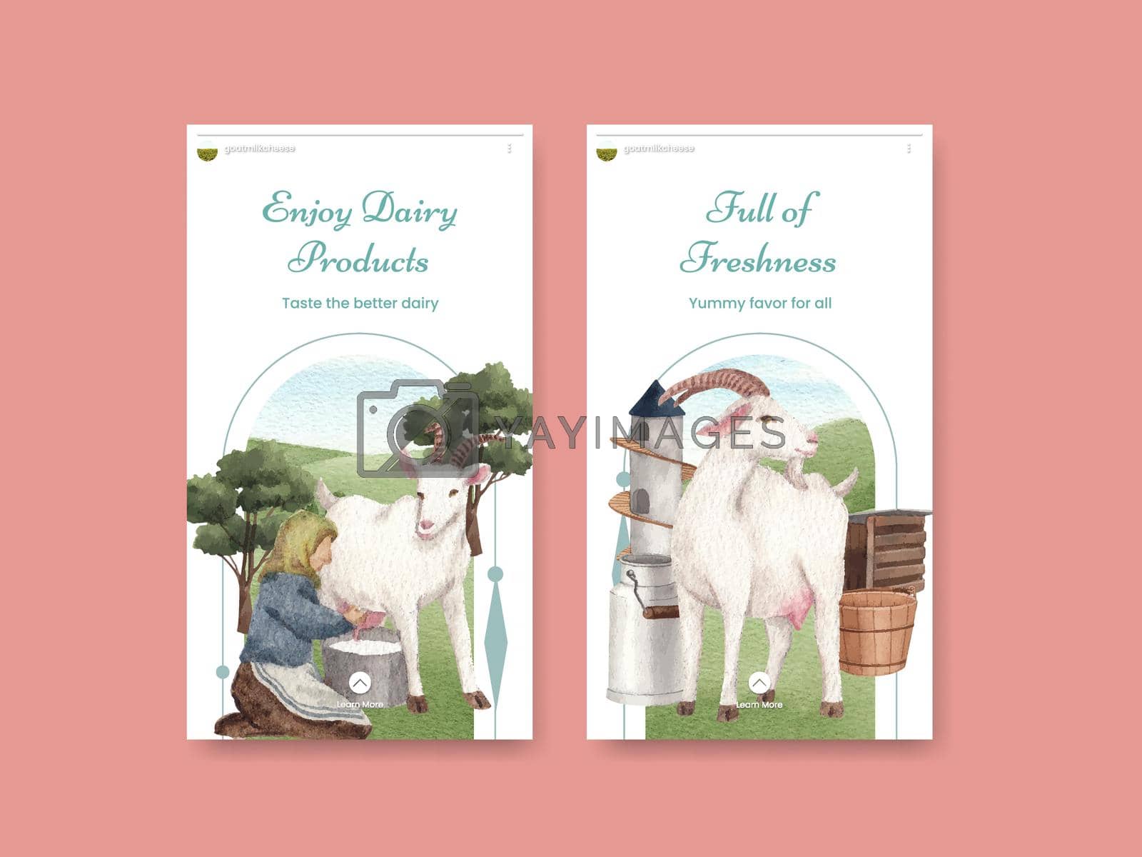 Royalty free image of Instagram template with goat milk and cheese farm concept,watercolor style by Photographeeasia