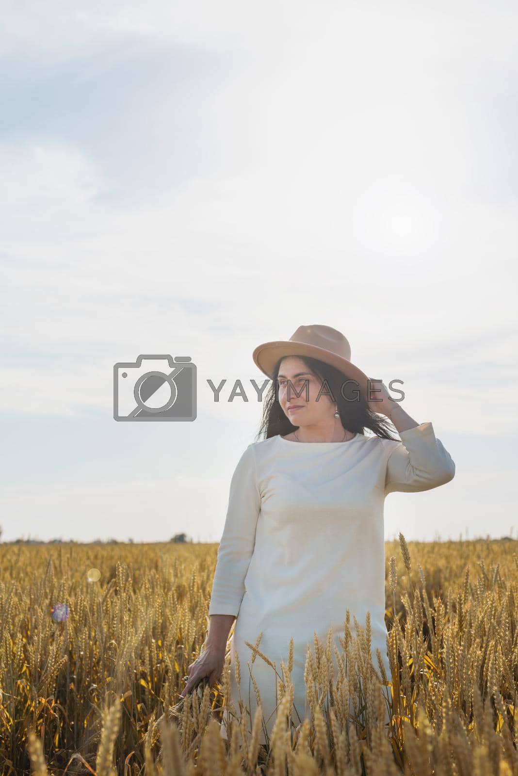 Royalty free image of Mid adult woman in white dress standing on a wheat field with sunrise on the background, back view by Desperada