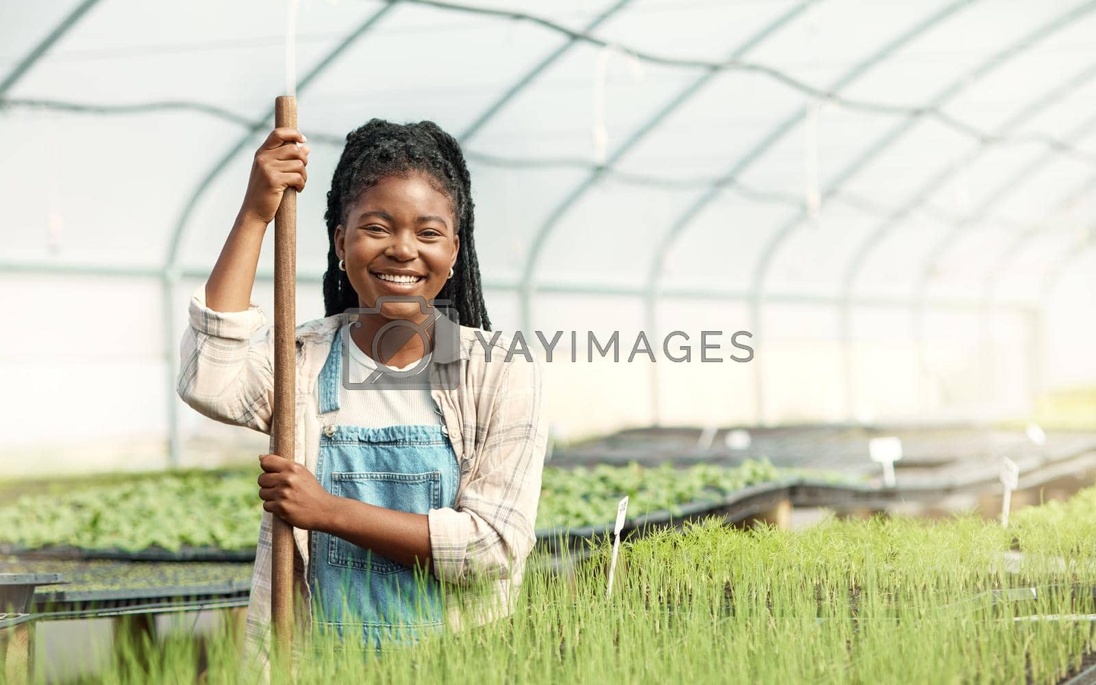 Royalty free image of Portrait of a happy woman working on a farm. Smiling farmer working in a greenhouse. African american woman working on a farm. Young woman cultivating agriculture on a sustainable farm by YuriArcurs