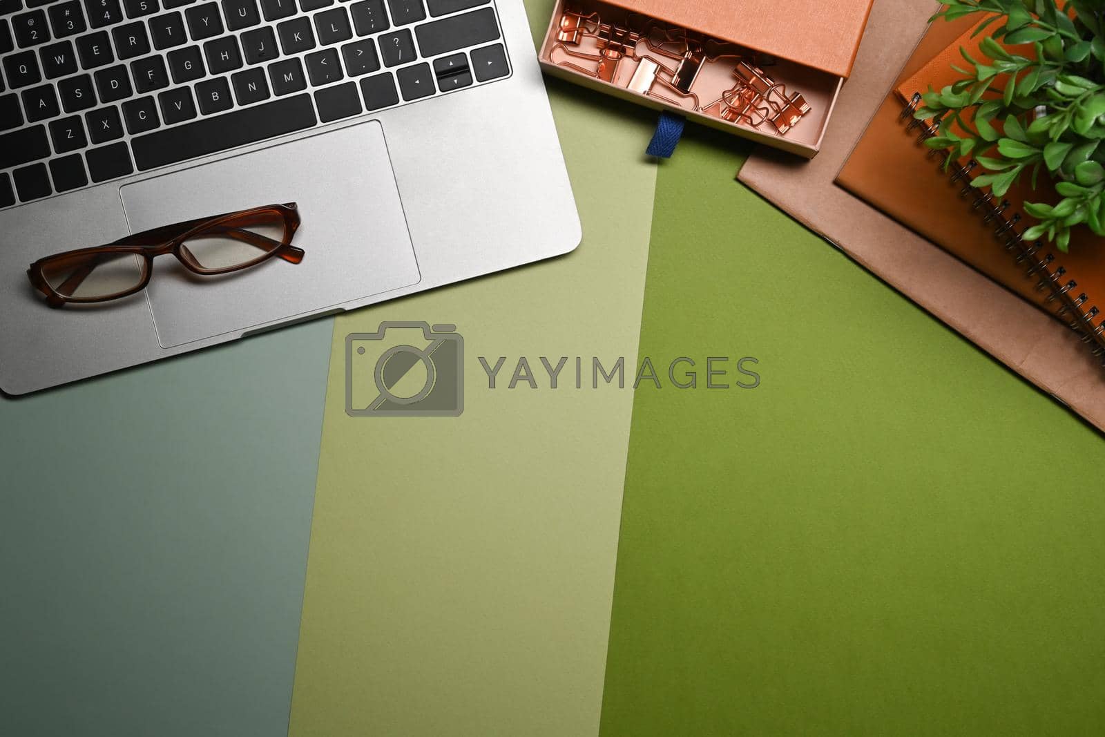 Royalty free image of Computer laptop, books, potted plant and eyeglasses on green background. by prathanchorruangsak