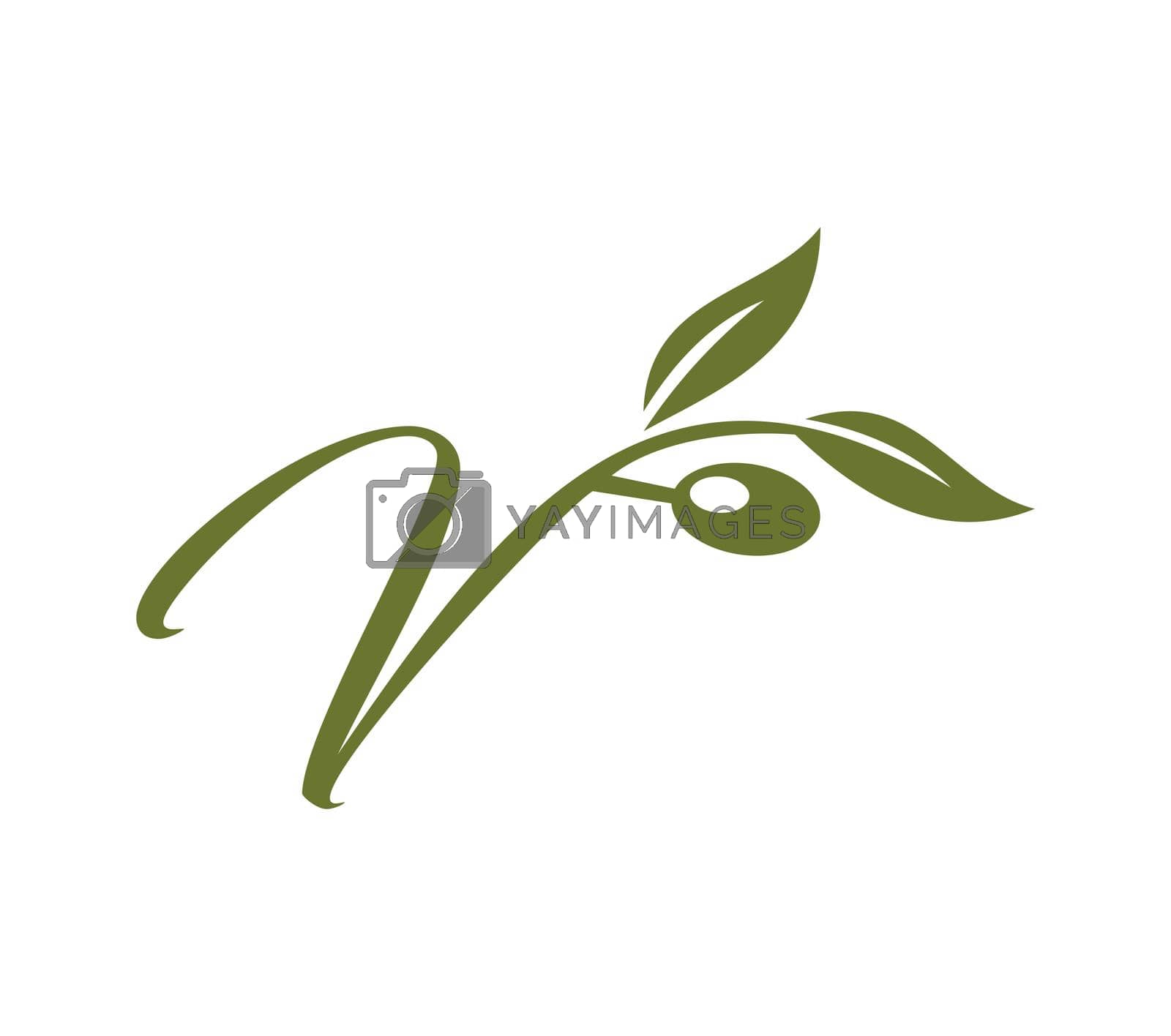 Royalty free image of Grape Vine Monogram Initial Logo Letter V by Up2date
