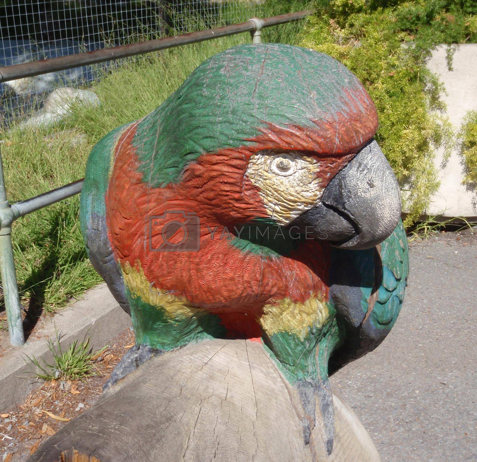 Royalty free image of Parrot Statue by EricGBVD