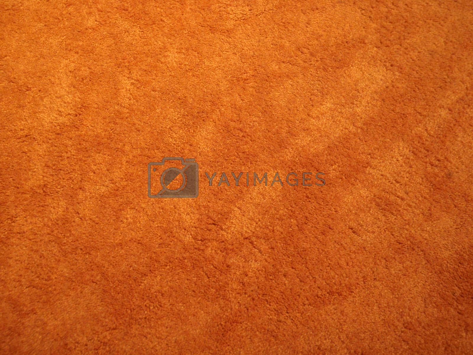 Royalty free image of close up of Orange Shag Carpet by EricGBVD