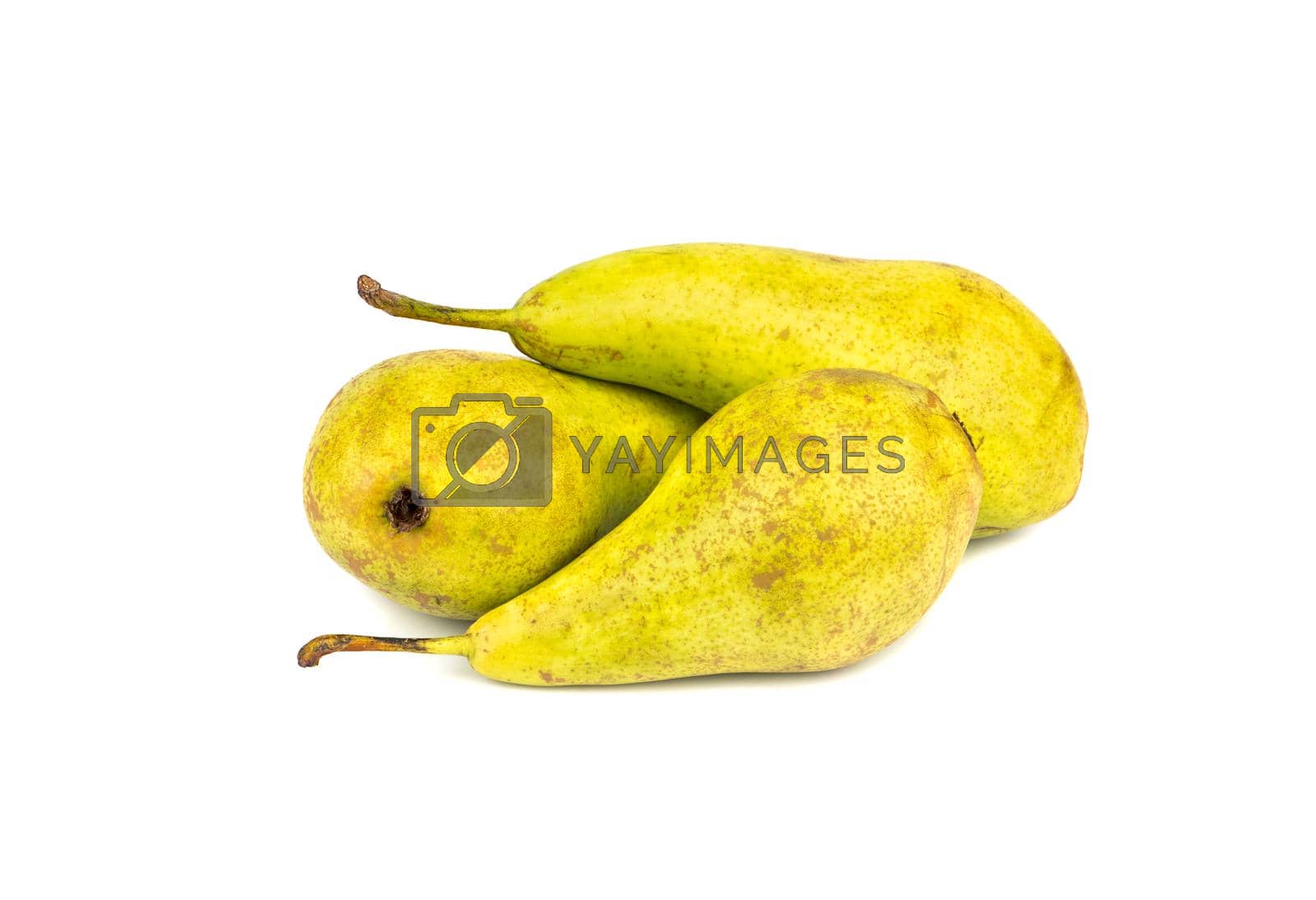 Royalty free image of Three pears by andregric