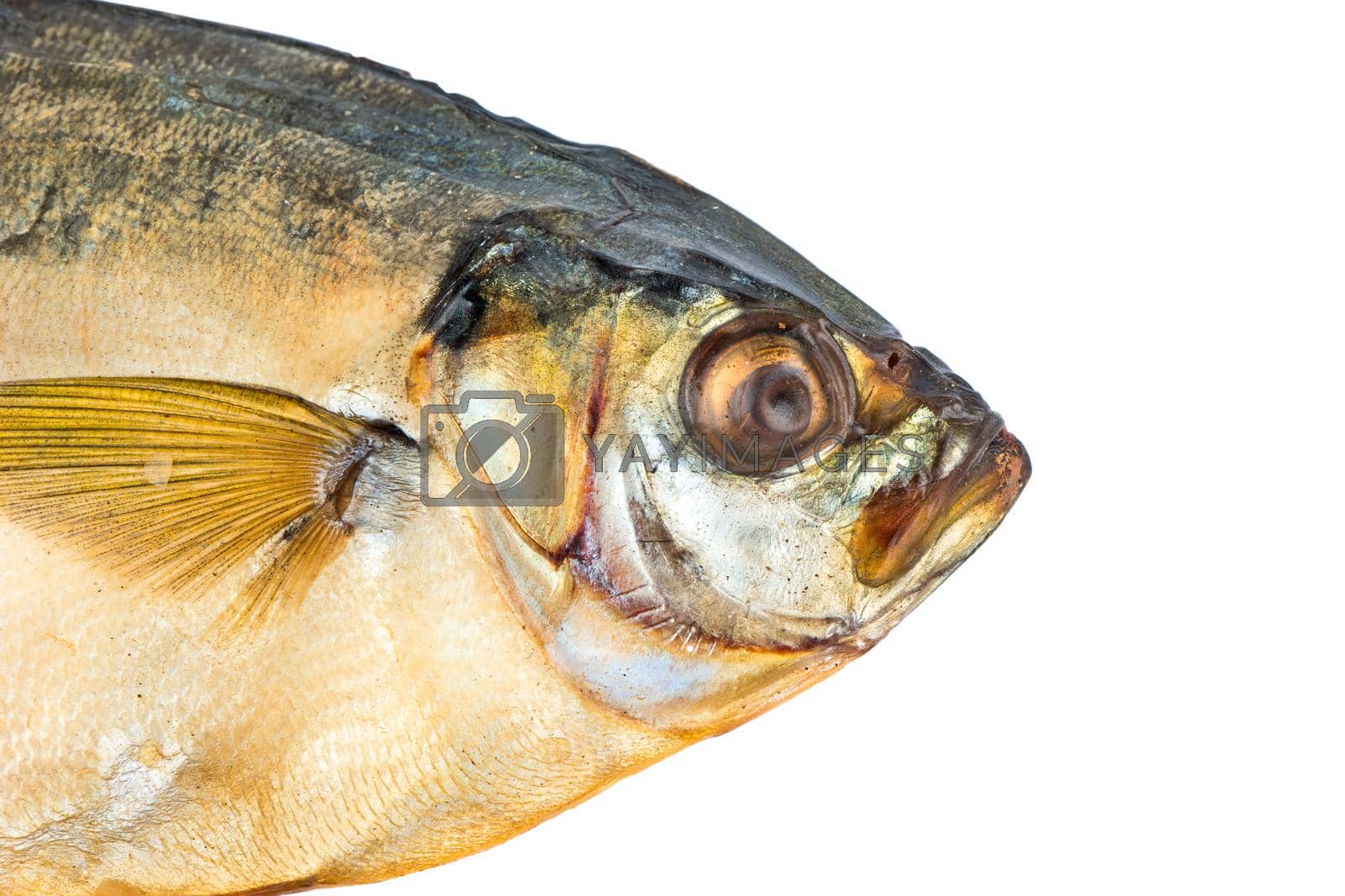 Royalty free image of Head of smoked fish by andregric