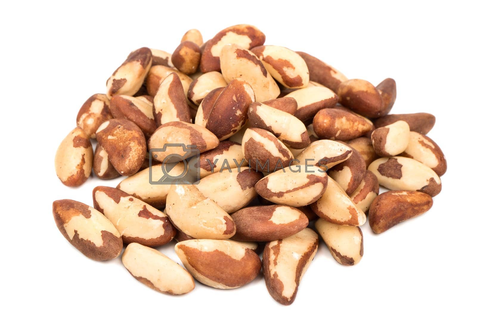 Royalty free image of Pile of Brazil nuts by andregric