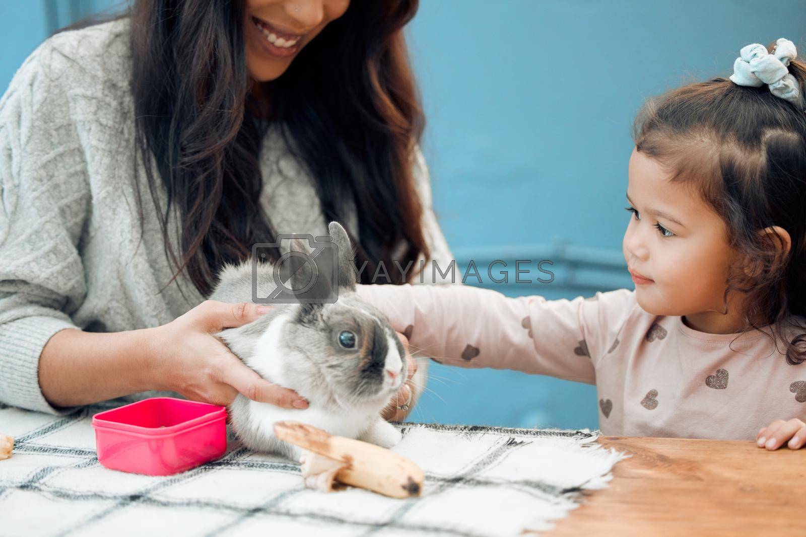Shot of a mother and daughter feeding their pet rabbit at home.