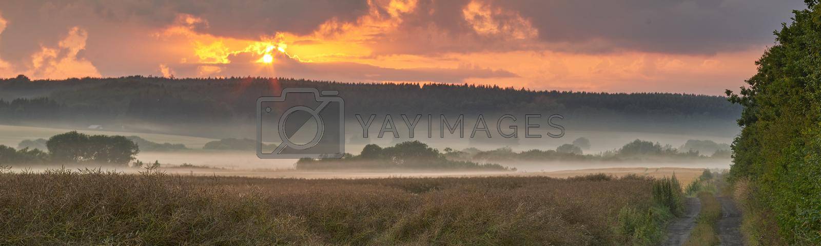 Royalty free image of Landscape view of fog over remote field with copy space at sunset. Mist covering a vast expanse of countryside meadow in Germany at dawn. Smoke from wildfire or bush fires rolling over nature reserve by YuriArcurs