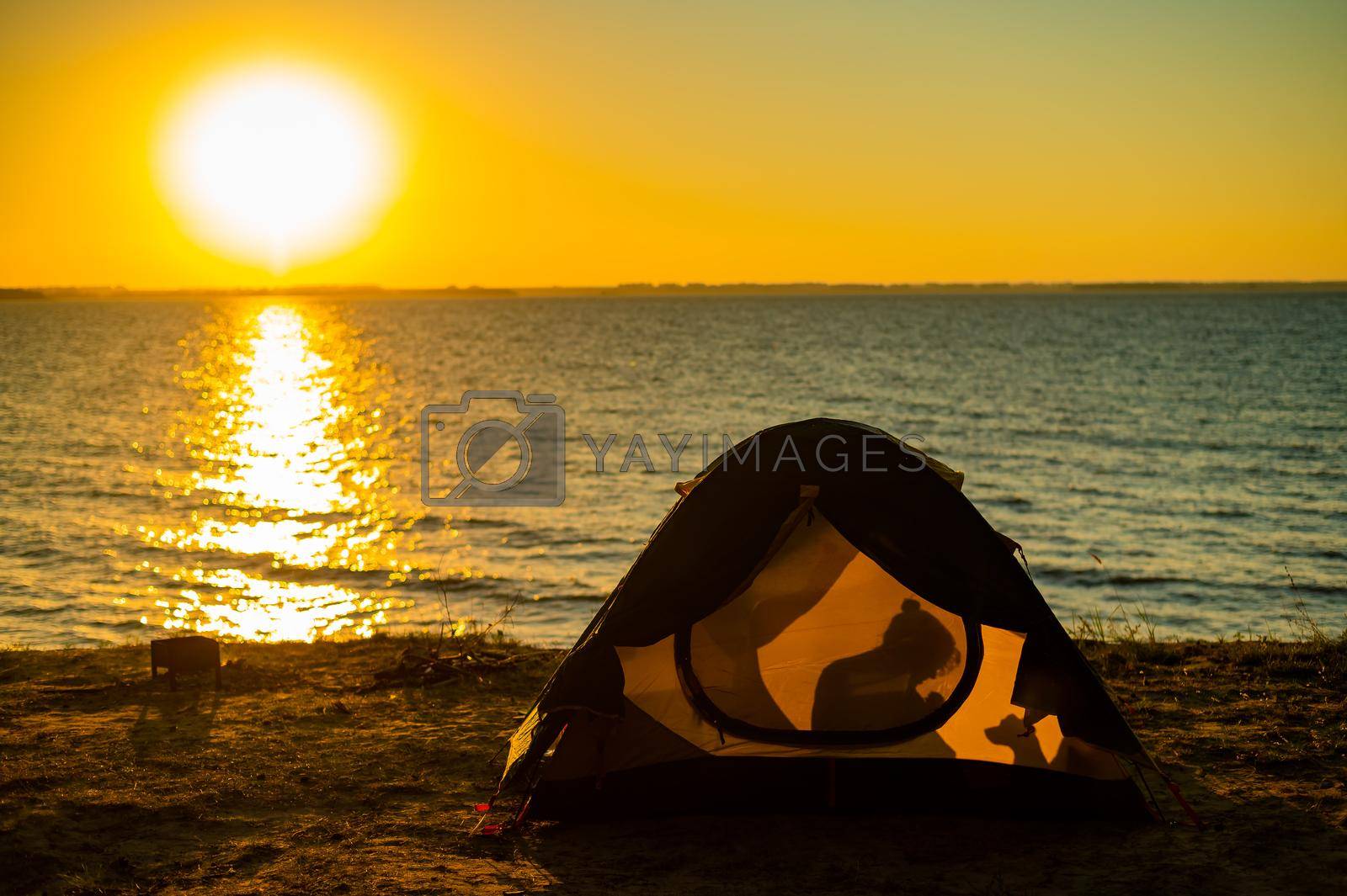 Royalty free image of Woman and dog in a tourist tent at sunset. Camping with a pet by mrwed54