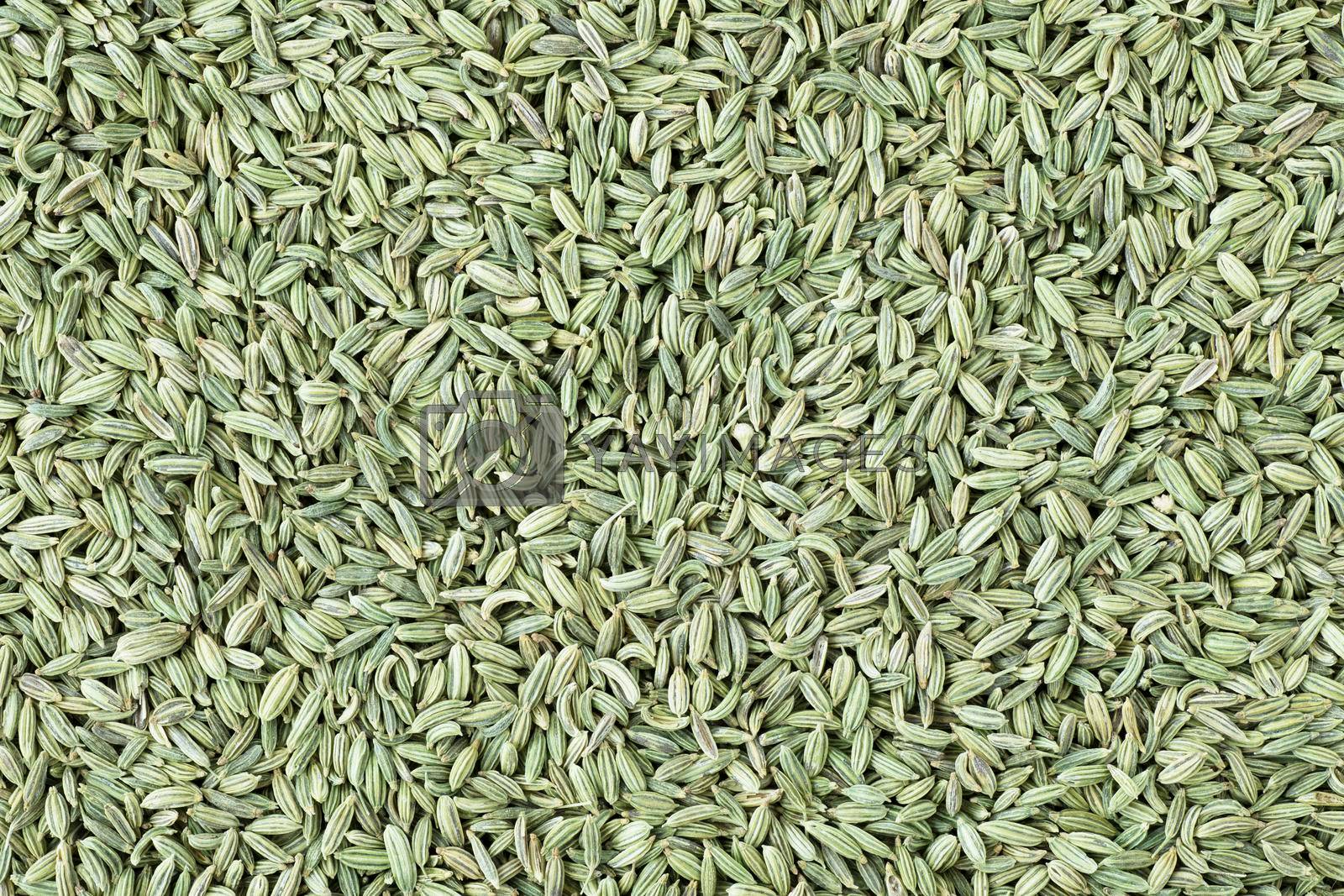 Fennel seeds filling full frame for food background or texture.