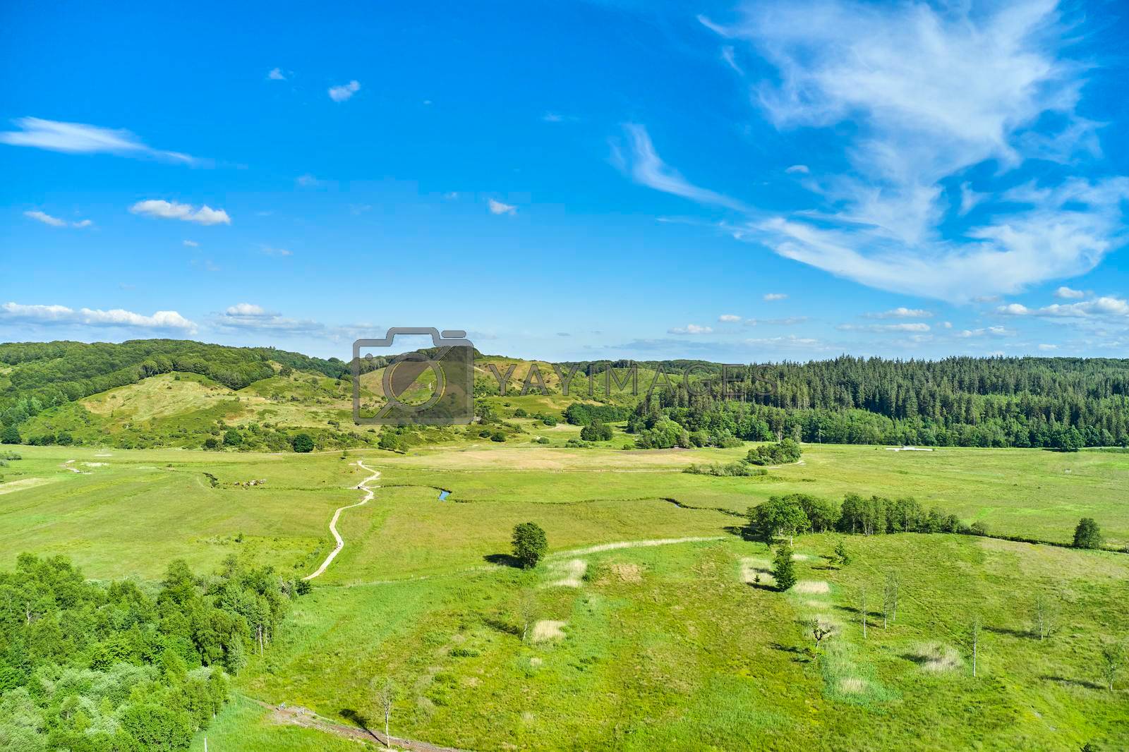 Landscape of a countryside with a cloudy blue sky and copyspace. Wide drone view of green forestry and cultivated grassland. Beautiful landscape of flat land surrounded by forest trees with copyspace.