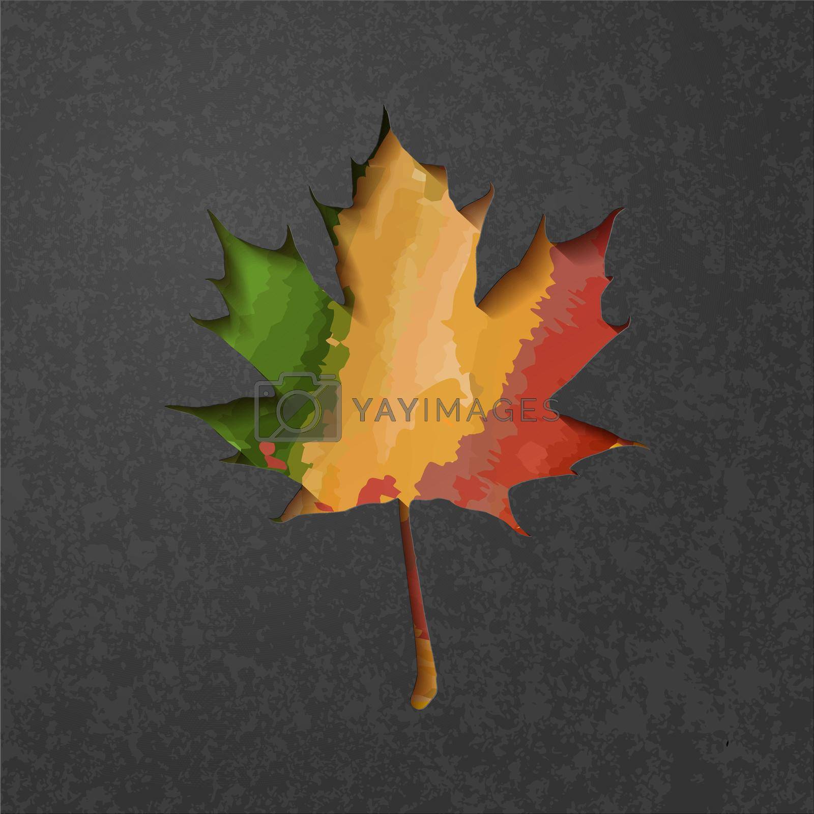 Royalty free image of Maple leaf vector shape icon. Forest and wood symbol sign. Nature tree logo. by Pakaliuyeva