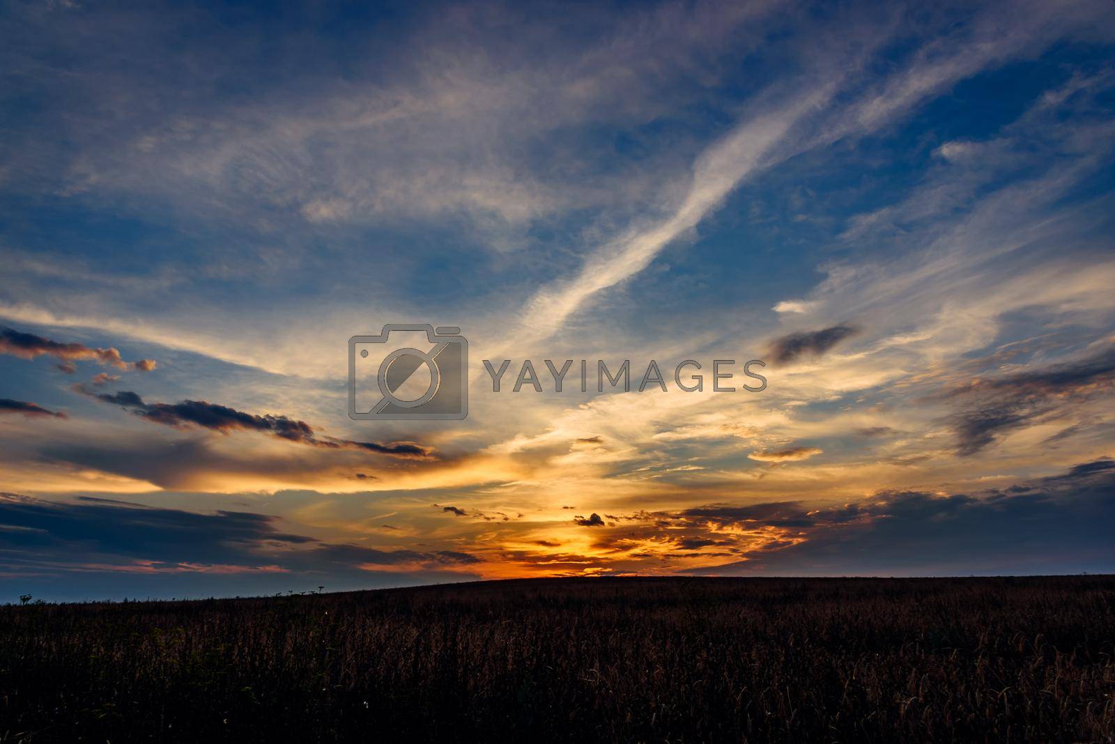 Royalty free image of Sunset sky over the field by Seva_blsv