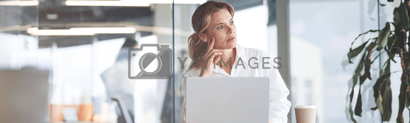 Royalty free image of Concentrated mature beautiful businesswoman working on laptop in bright modern office by Yaroslav_astakhov