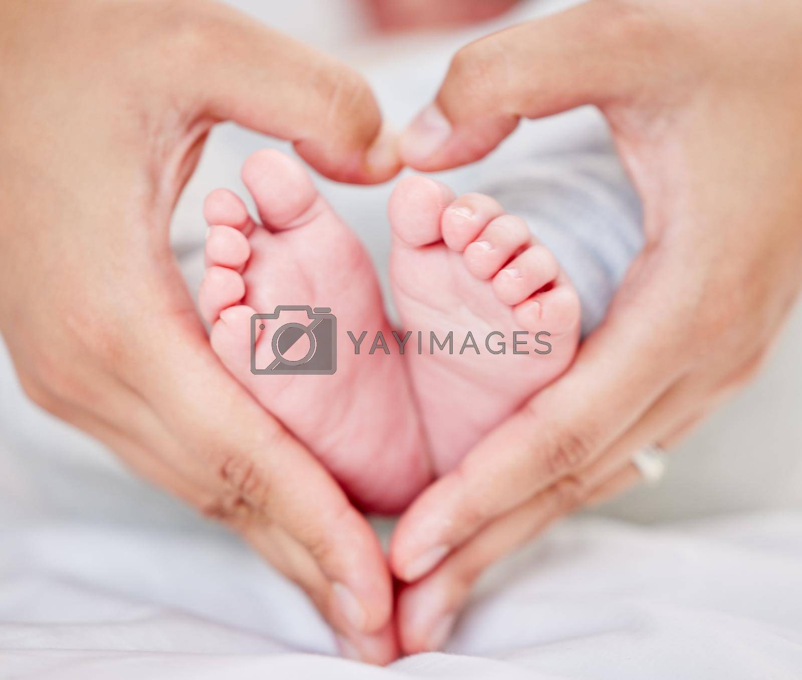 Royalty free image of Closeup of hands of a parent forming a heart shape around tiny newborn baby feet. Mother loving her little baby. Small baby resting in its nursery while parent holds its feet. by YuriArcurs