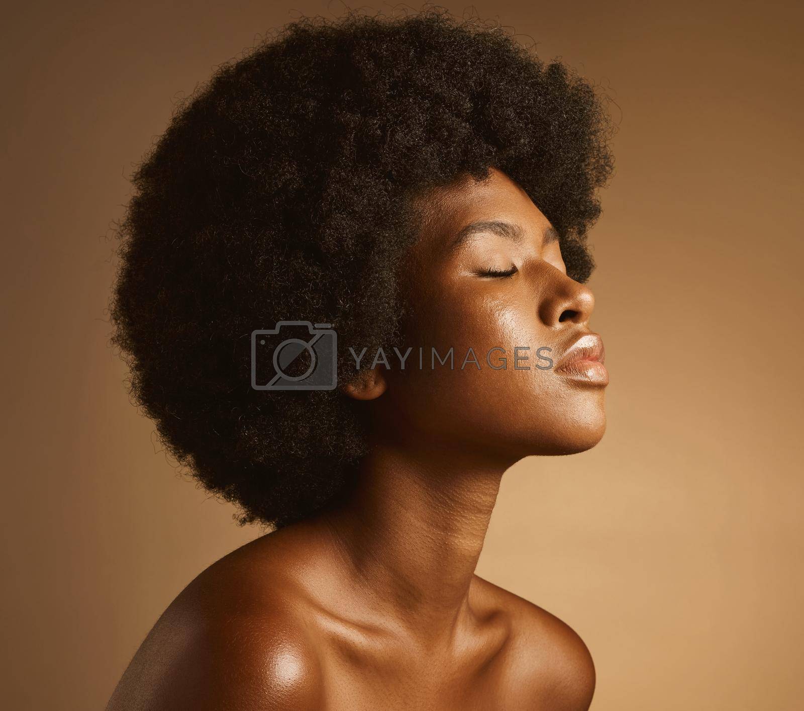 Royalty free image of Confident African American woman with a natural afro posing against brown studio copyspace background. Young beautiful black female model looking trendy, powerful and sensual with smooth glowing skin by YuriArcurs