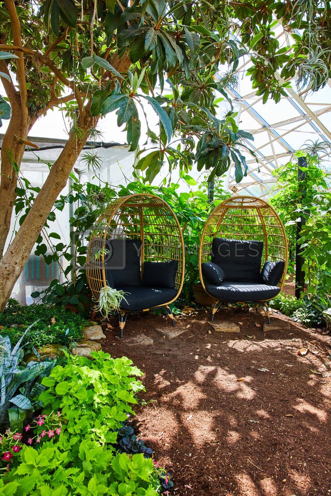 Royalty free image of Resting spot of two chairs surrounded by gardens in greenhouse by njproductions