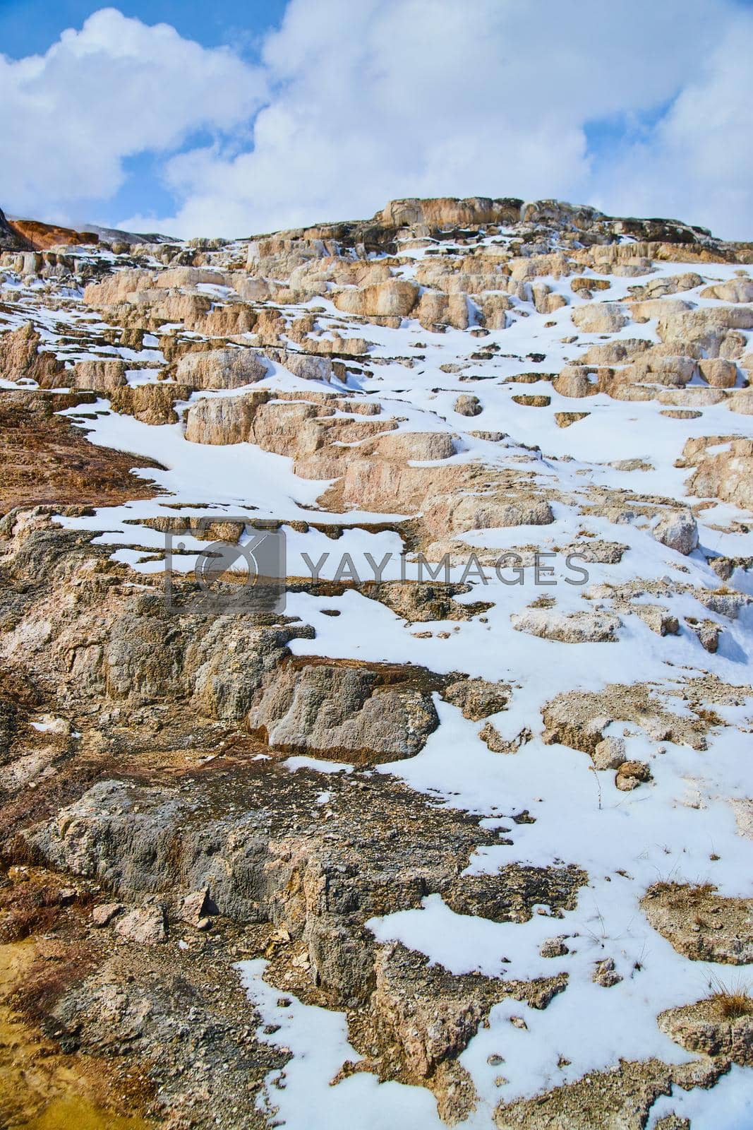Royalty free image of Yellowstone Hot Springs filled with snow during winter by njproductions