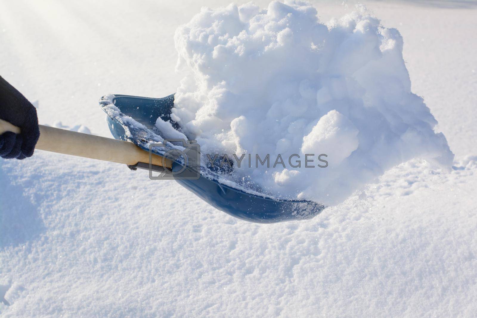 Royalty free image of Removing shovel with snow by VitaliiPetrushenko