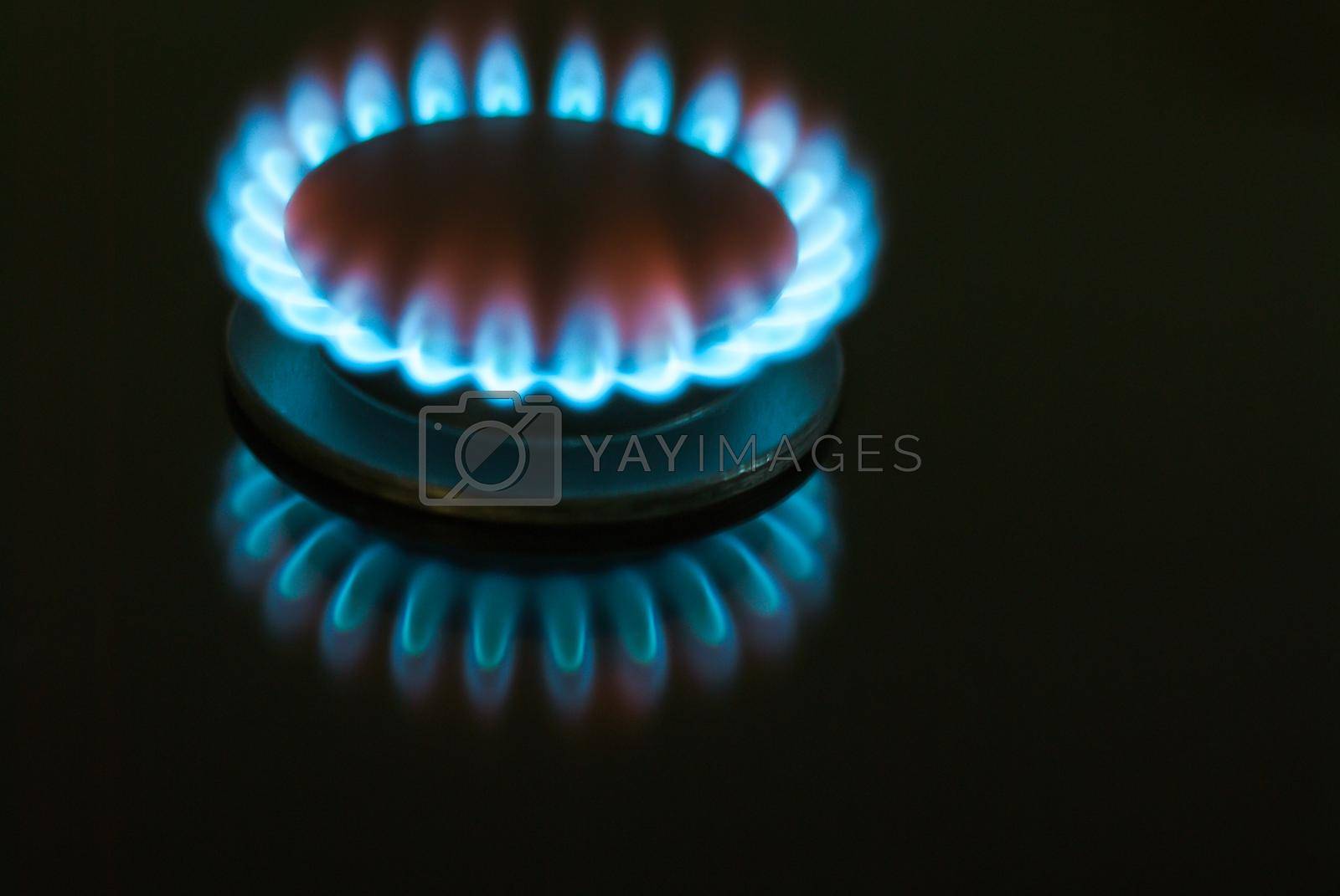 Royalty free image of gas burner on black background by maramorosz