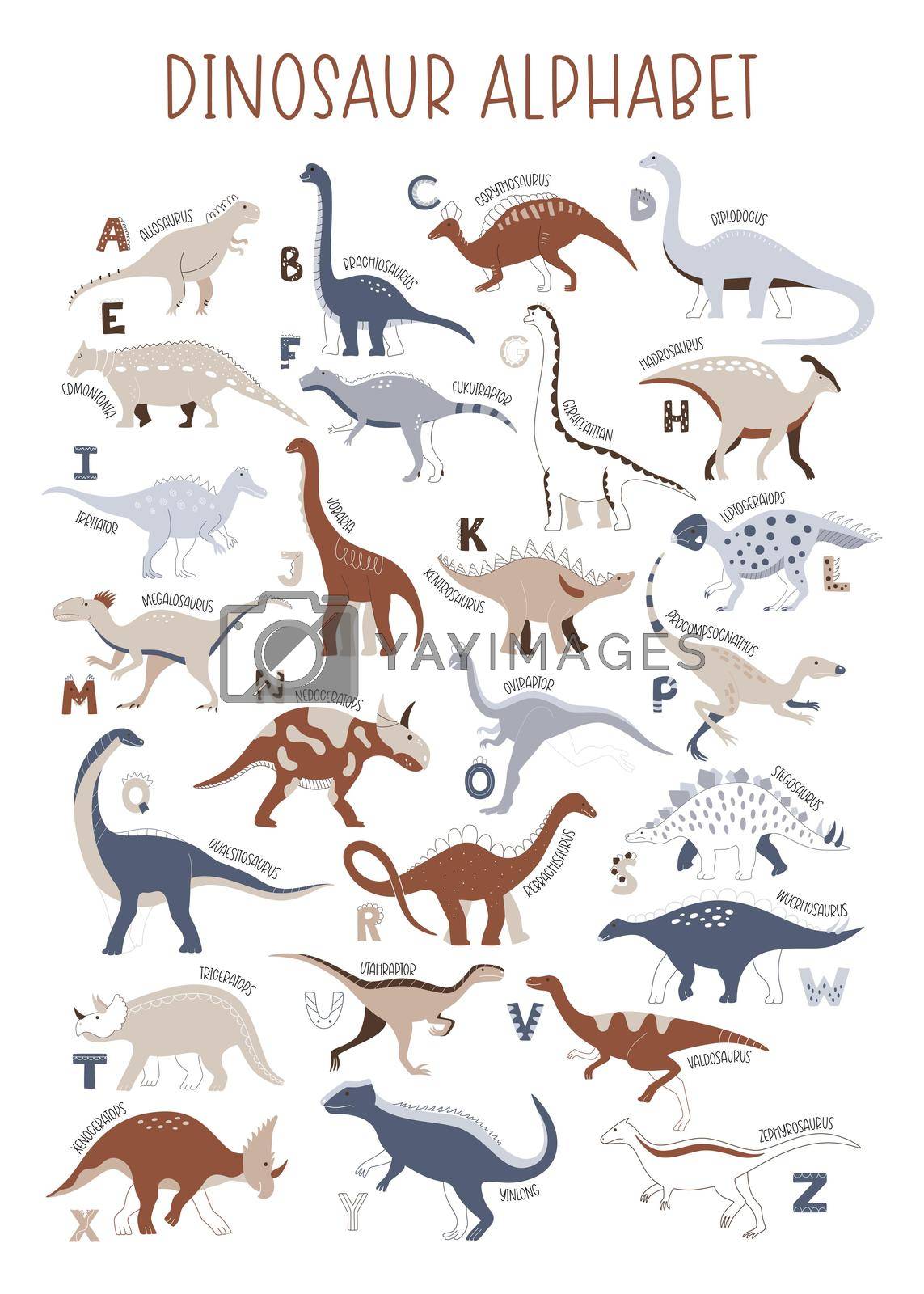 Dinosaur vector ABC alphabet for children and as education resources. Cute colorful poster with hand drawn cartoon cute dinosaurs and letters compositions.