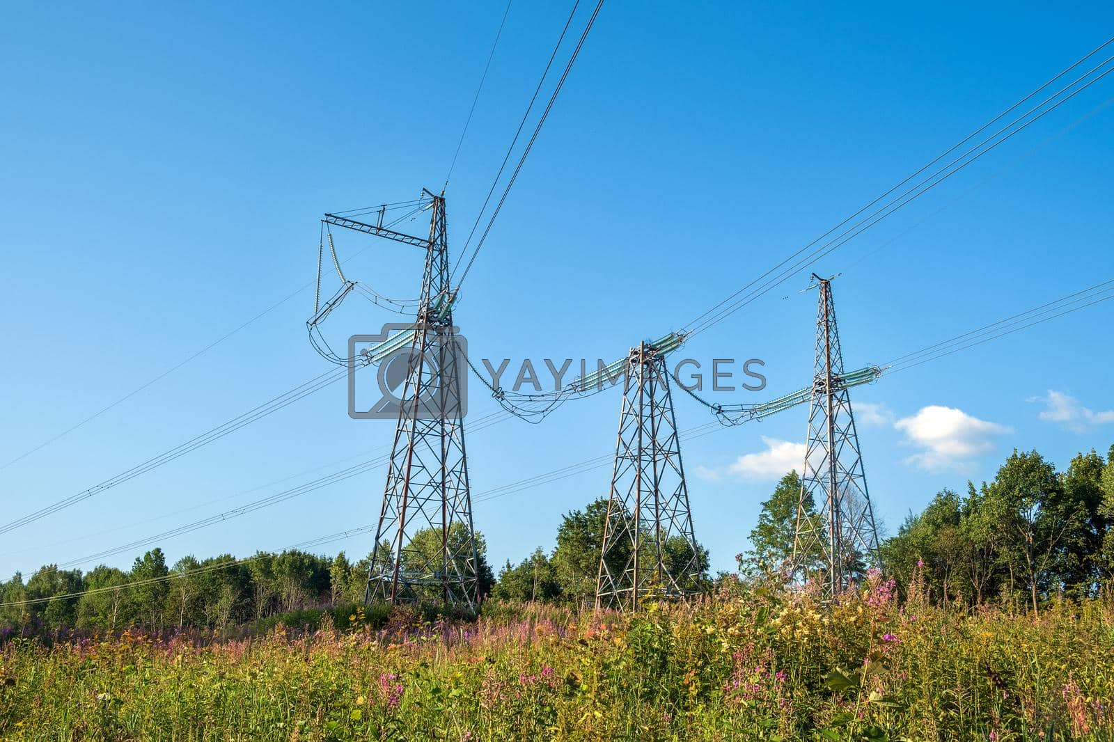 Royalty free image of Fragment of power line as component of large electrical networks by OlgaGubskaya