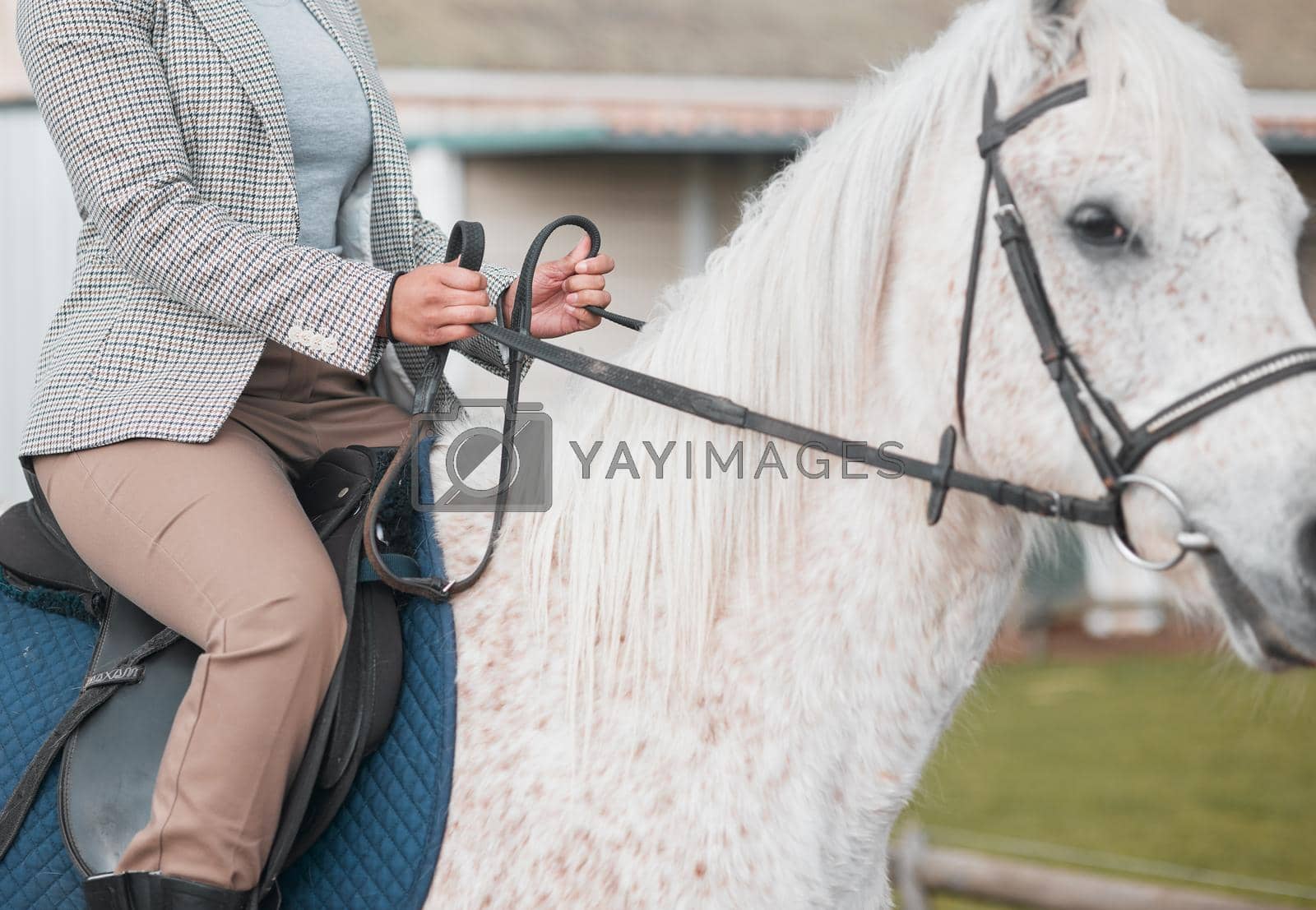 Royalty free image of Just me and my boy. an unrecognizable woman having fun horseback riding outside. by YuriArcurs