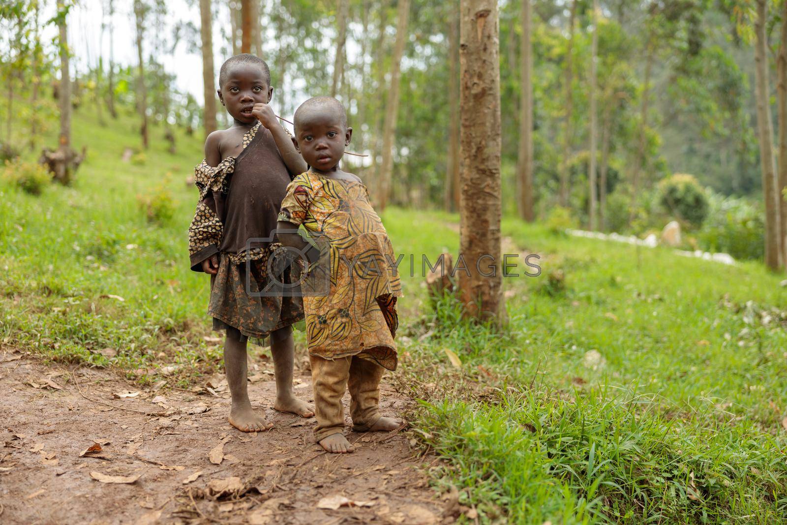 Royalty free image of Two African children standing in the forest by Yaroslav_astakhov