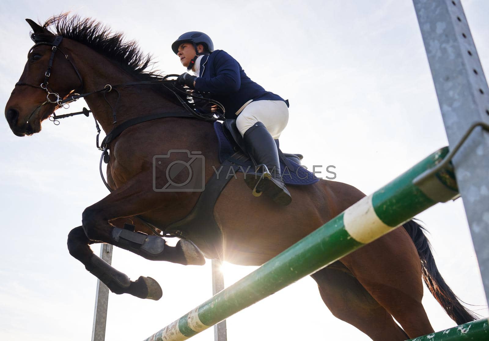 Royalty free image of Head up, heels down. a young rider jumping over a hurdle on her horse. by YuriArcurs