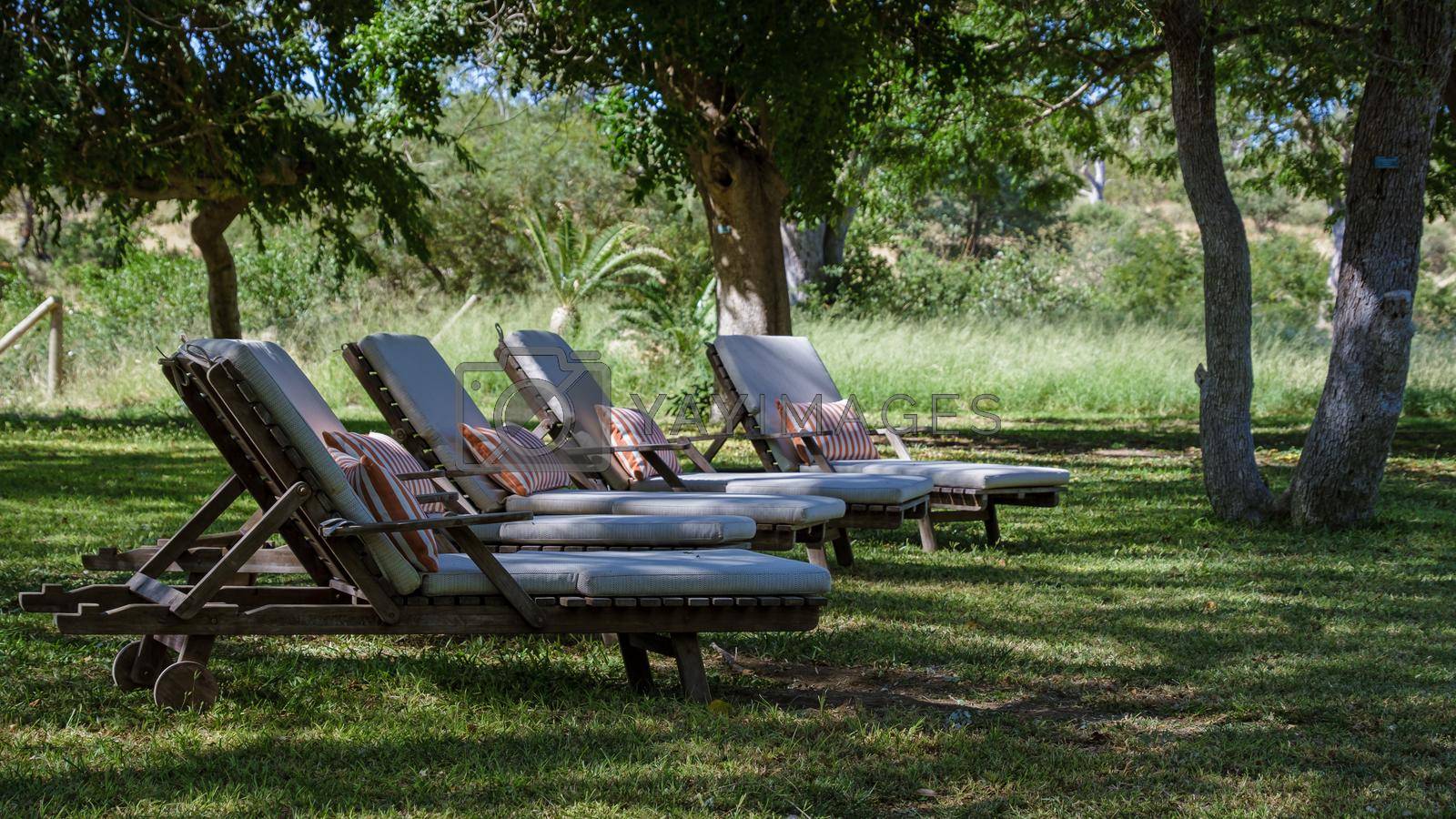 Royalty free image of Luxury chairs with pillow at a green garden by a pool in South Africa by fokkebok