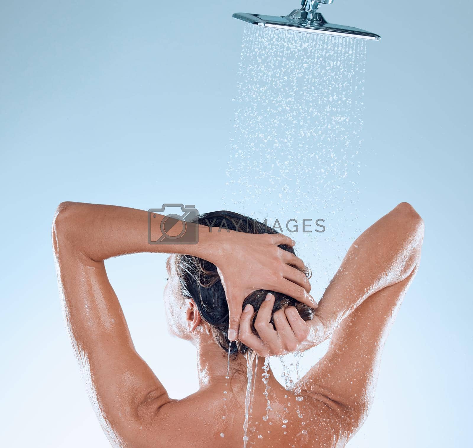 Royalty free image of Giving her hair some deep conditioning. Studio shot of a young woman taking a shower against a blue background. by YuriArcurs