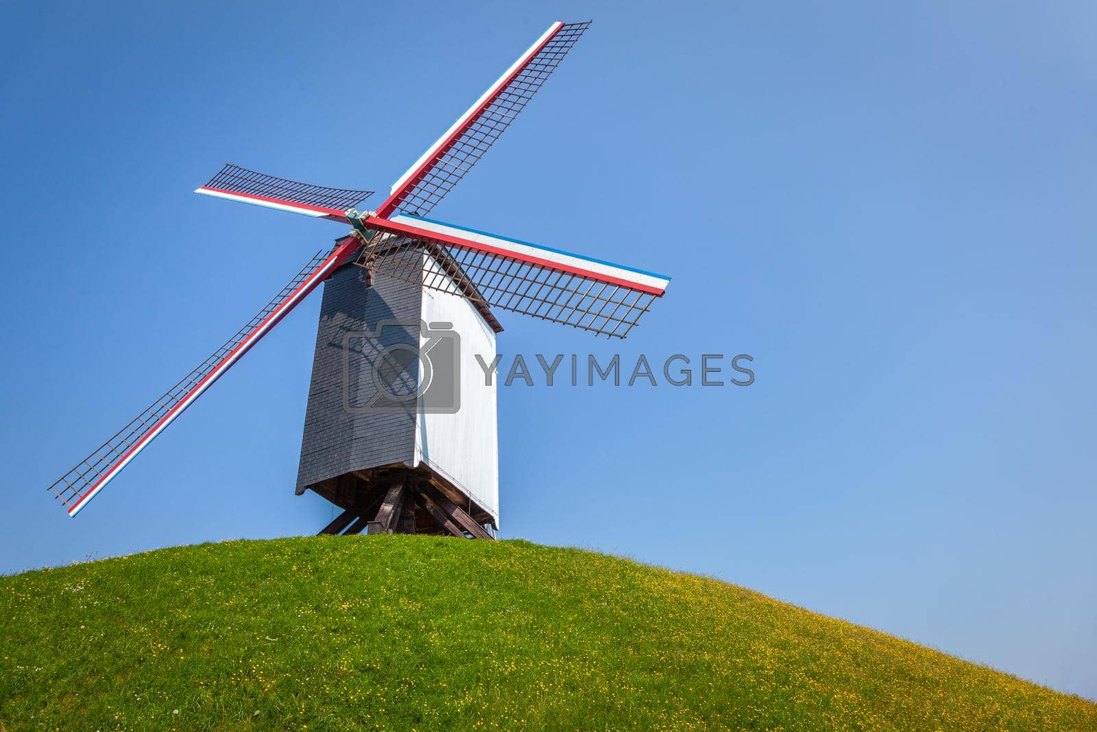 Royalty free image of Rustic wooden windmills in idyllic Bruges public park, Belgium by positivetravelart