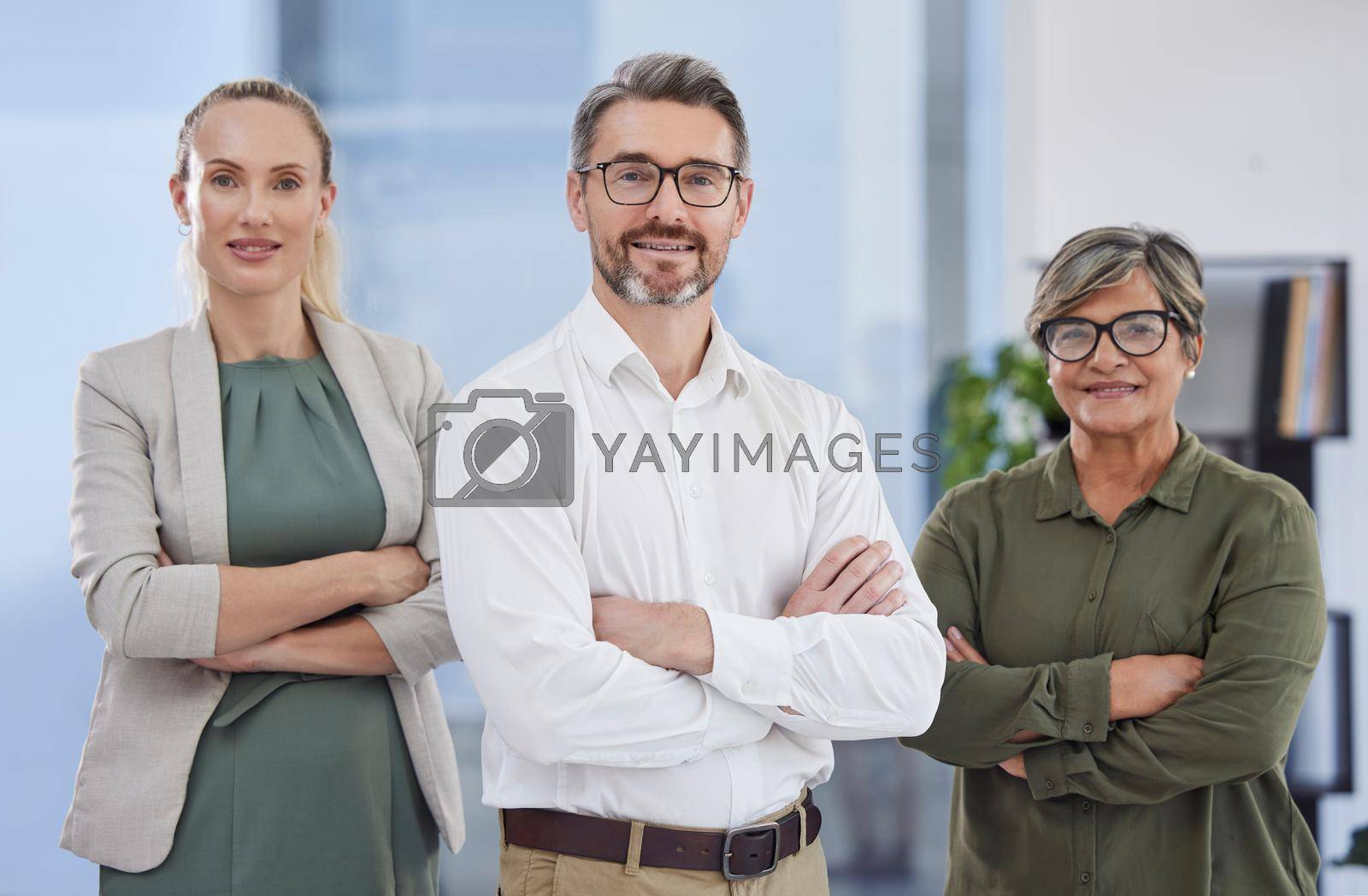 Royalty free image of Our team strength is innate. a group of business people together in their office. by YuriArcurs