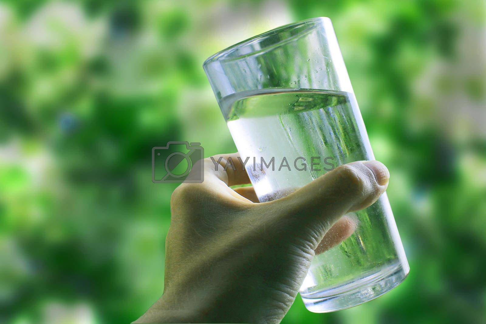 Royalty free image of A glass of water in a hand close-up on a natural green background outdoors. by IronG96