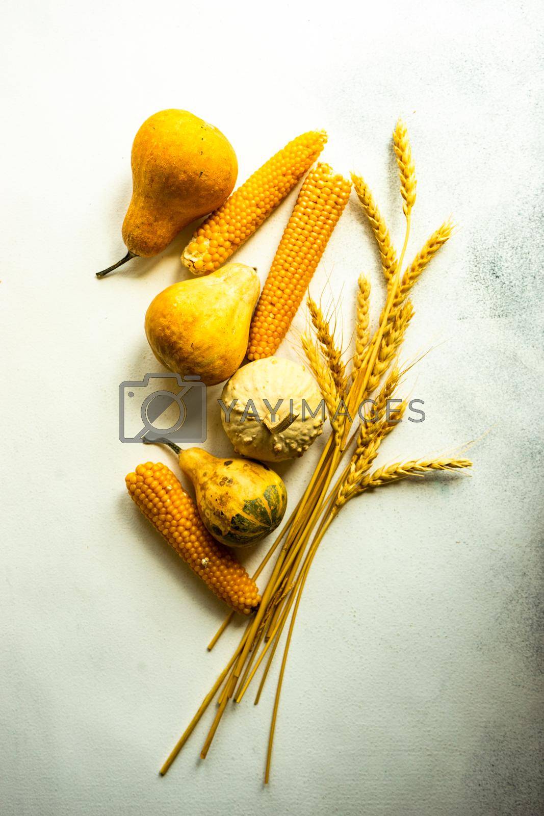 Royalty free image of Autumnal harvest concept by Elet