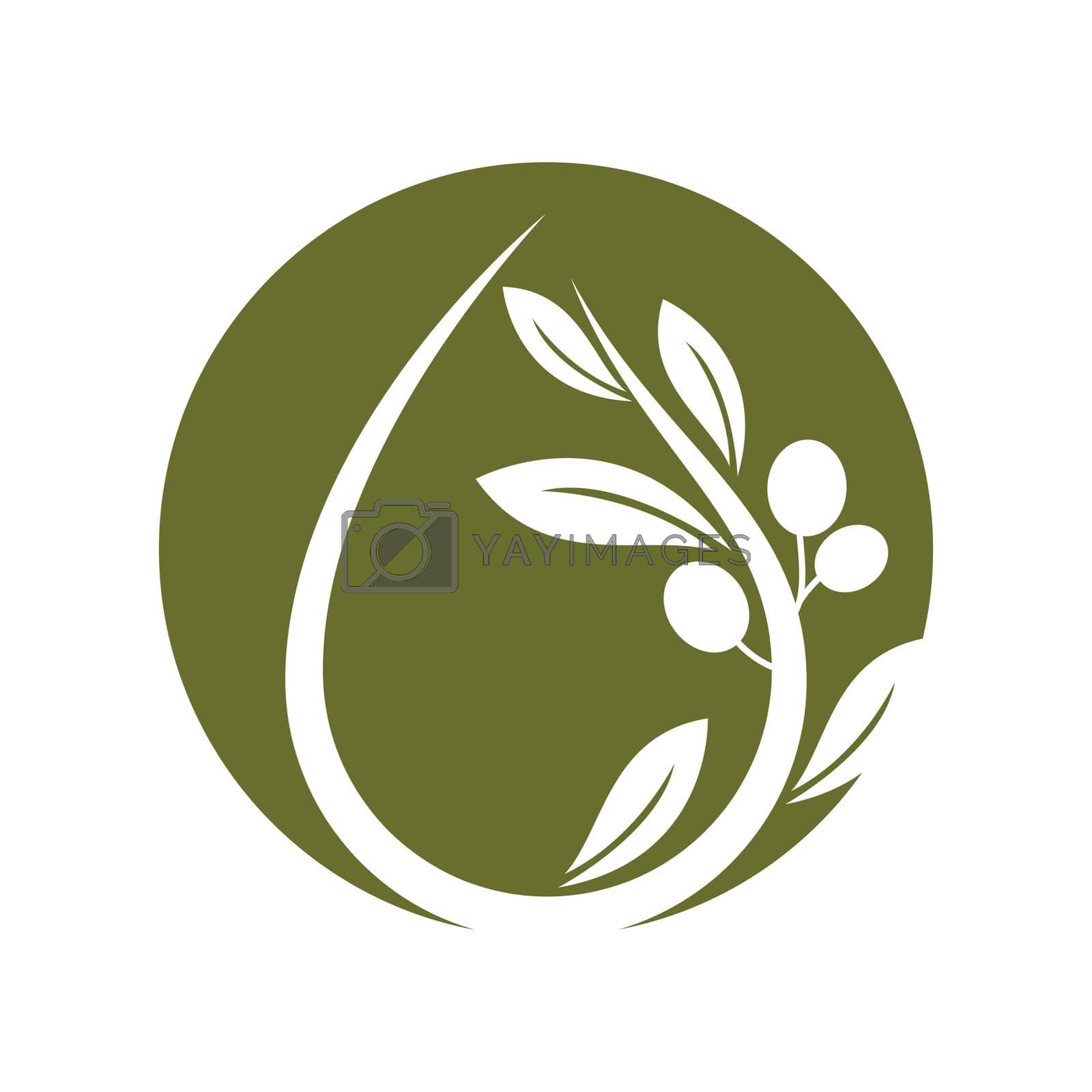 Royalty free image of Olive illustration vector by awk