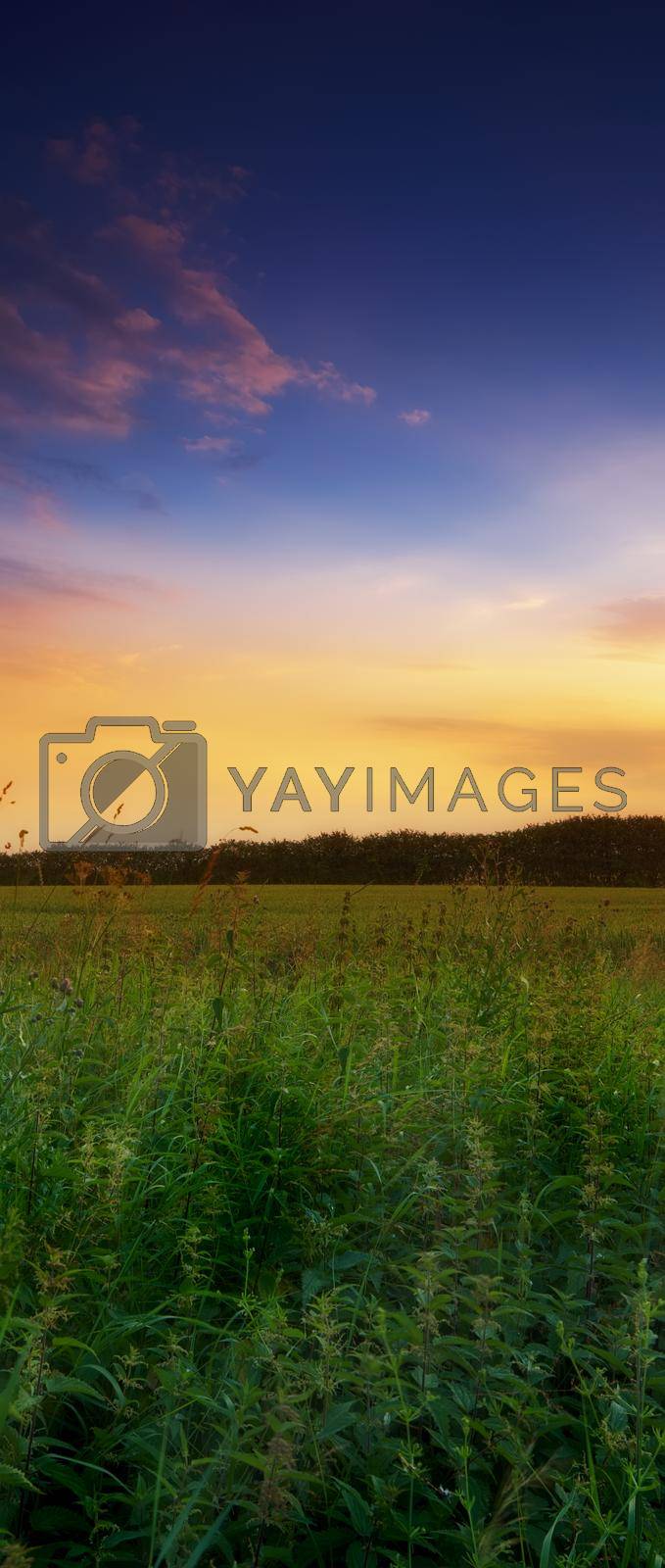 Time for harvest. A photo of a beautiful summer sunset at the countryside