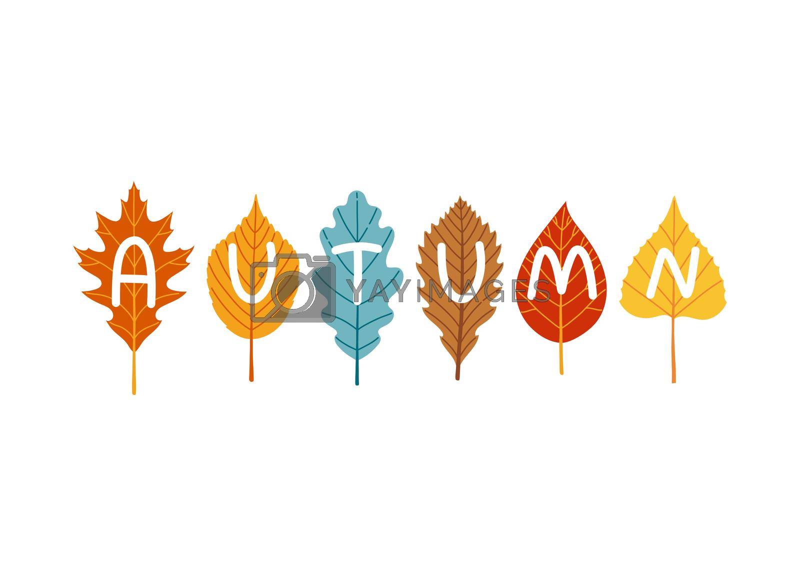 Royalty free image of Autumn lettering on leaves fall season vector by spirkaart