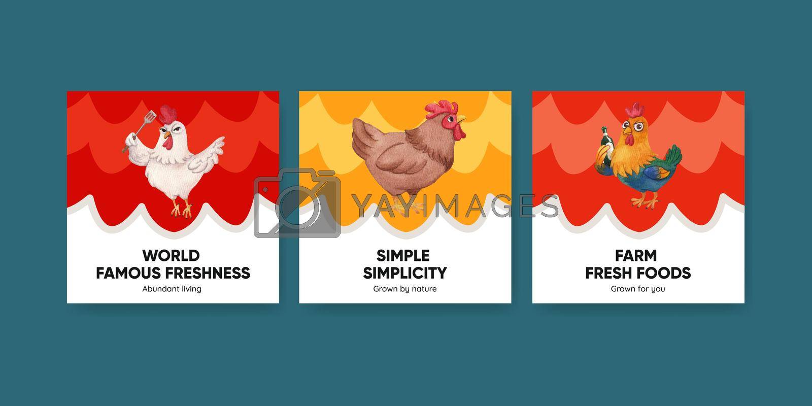 Royalty free image of Banner template with chicken farm food concept,watercolor style by Photographeeasia