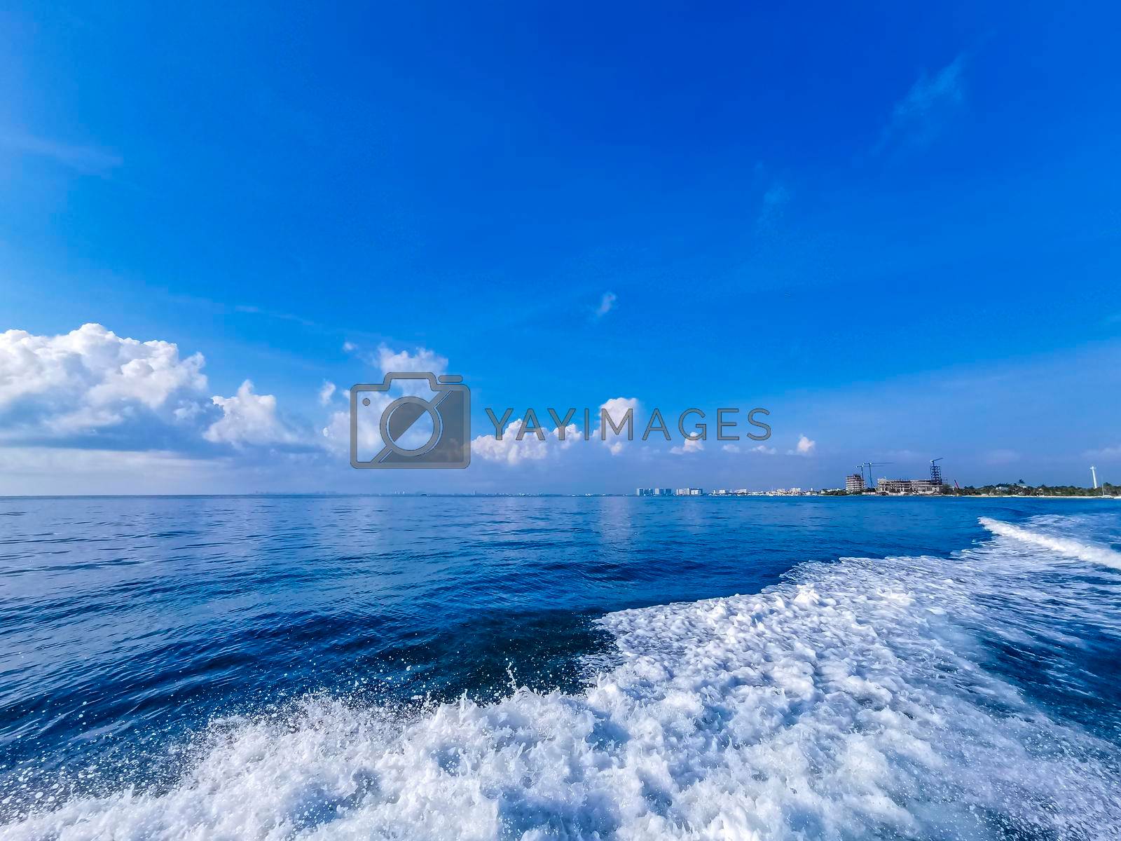 Royalty free image of Boat trip Cancun Mexico to Island Mujeres Contoy Whale shark. by Arkadij